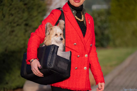 FOTELIK SAMOCHODOWY DLA PSA 2W1 LOCKY BLACK