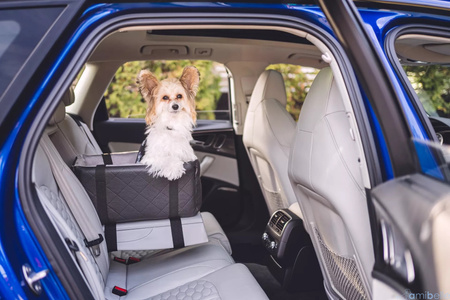 FOTELIK SAMOCHODOWY DLA PSA 2W1 LOCKY BLACK