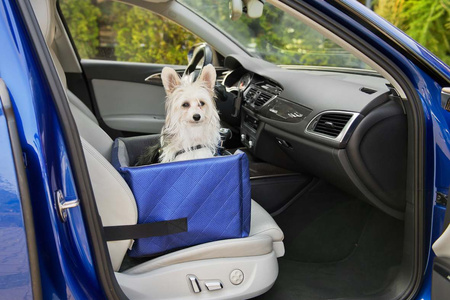 FOTELIK SAMOCHODOWY DLA PSA - MIA LUX METALLIC NIEBIESKI M