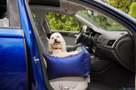 FOTELIK SAMOCHODOWY DLA PSA - BELLA NIEBIESKI