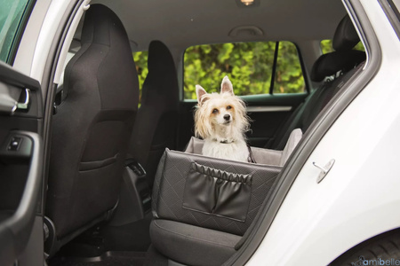 FOTELIK SAMOCHODOWY DLA PSA 2W1 ZULA CZARNY