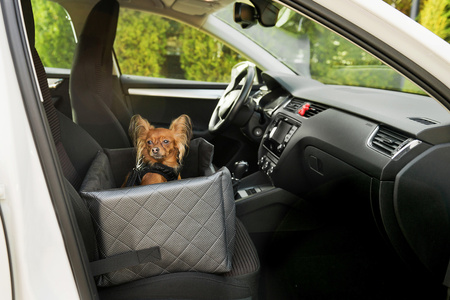 FOTELIK SAMOCHODOWY DLA PSA - MIA LUX METALLIC SZARY M