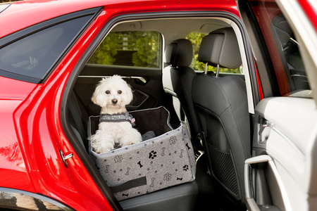 FOTELIK SAMOCHODOWY DLA PSA - EMMA SZARO-CZARNY M