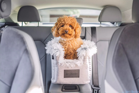 FOTELIK SAMOCHODOWY DLA PSA 2W1 LOCKY LIGHT GREY