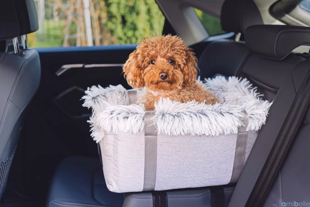 FOTELIK SAMOCHODOWY DLA PSA 2W1 LOCKY LIGHT GREY