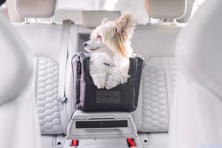 FOTELIK SAMOCHODOWY DLA PSA 2W1 LOCKY BLACK