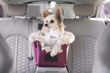 FOTELIK SAMOCHODOWY DLA PSA 2W1 LOCKY BORDO