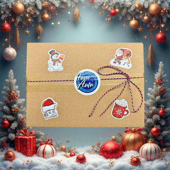 MYSTERY BOX EXTRA FANI AUTA