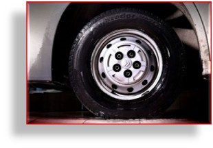 PROELITE REDNOX 5L - KRWAWA FELGA, DEIRONIZER