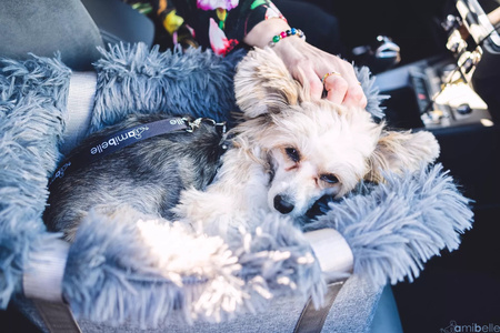 FOTELIK SAMOCHODOWY DLA PSA 2W1 LOCKY GREY